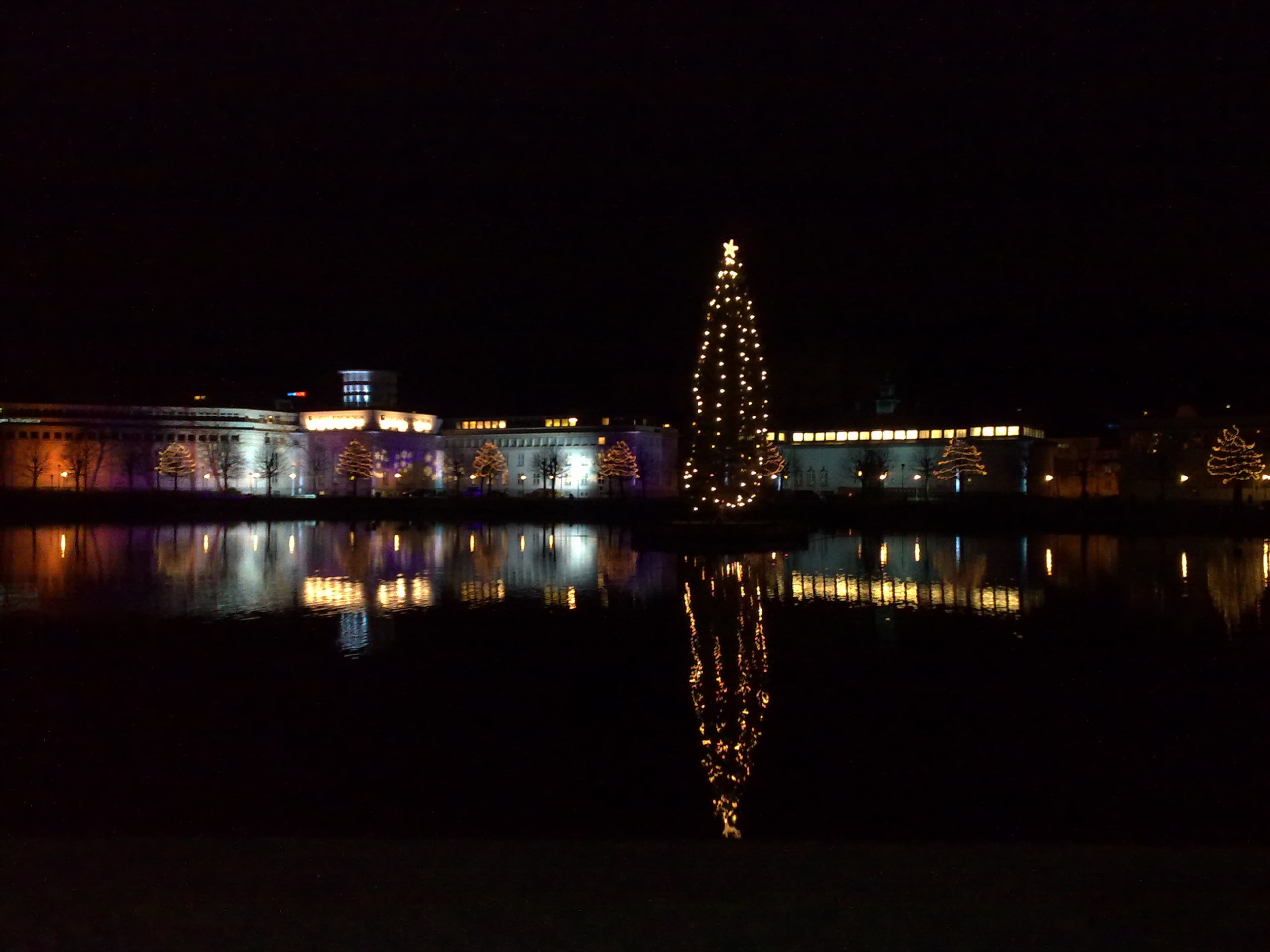 Festival of Light 2009|Lysfesten 2009